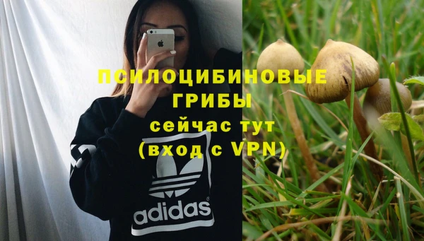 прущая мука Козельск