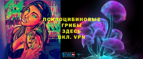дживик Карталы